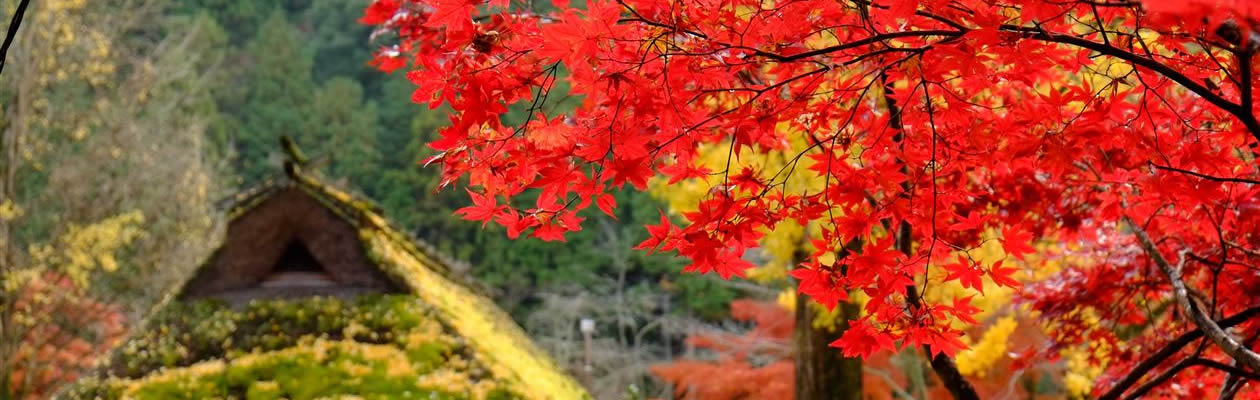 お金を使わずに楽しく生活するテクニック