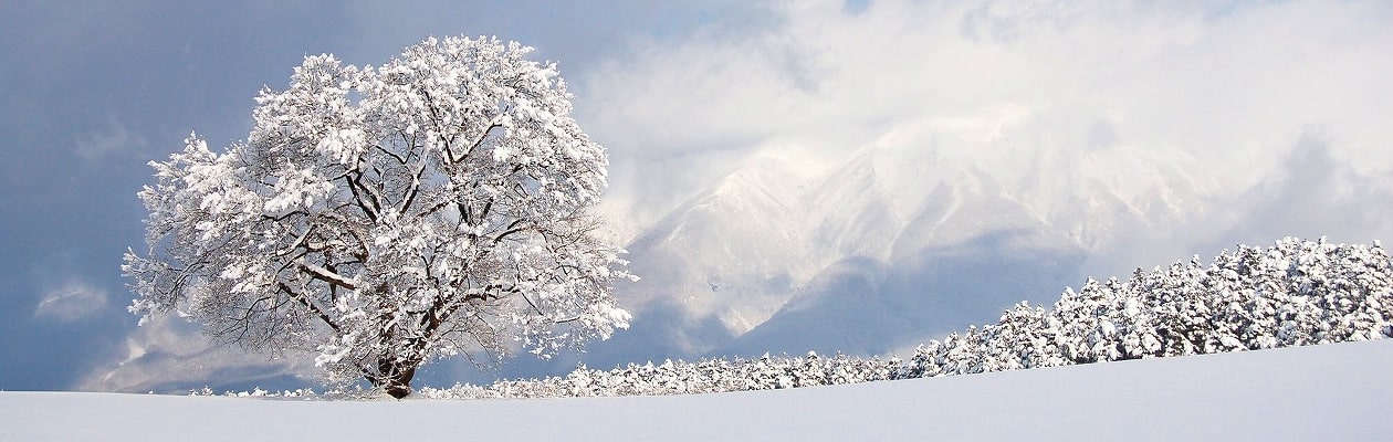 お得な情報も満載