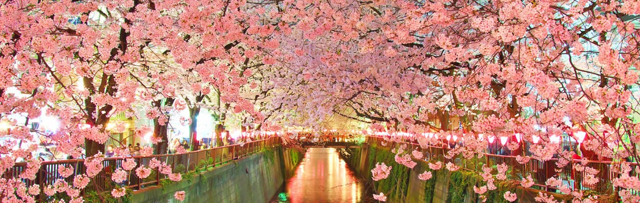 メルカリの上手な使い方解説も